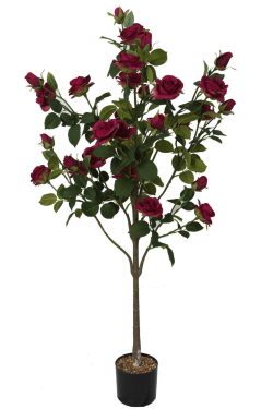 33-Head Rose Tree Rose Red