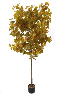 264-Leaves Ivy