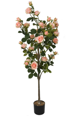 33-Head Rose Tree Champagne