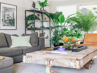 A home with simulated green plants is completely ideal!